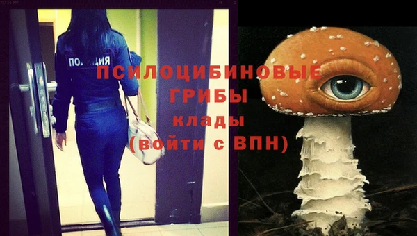 прущие крисы Алексин